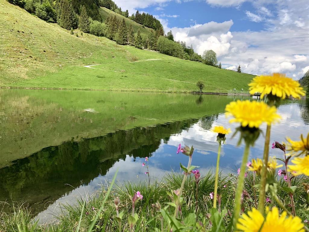 Pension Heidelberg - Fam Fuchs Hopfgarten im Brixental Dış mekan fotoğraf