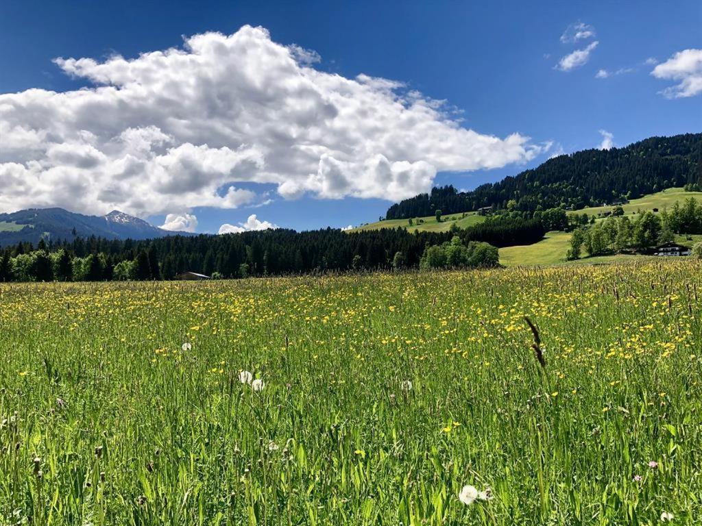 Pension Heidelberg - Fam Fuchs Hopfgarten im Brixental Dış mekan fotoğraf