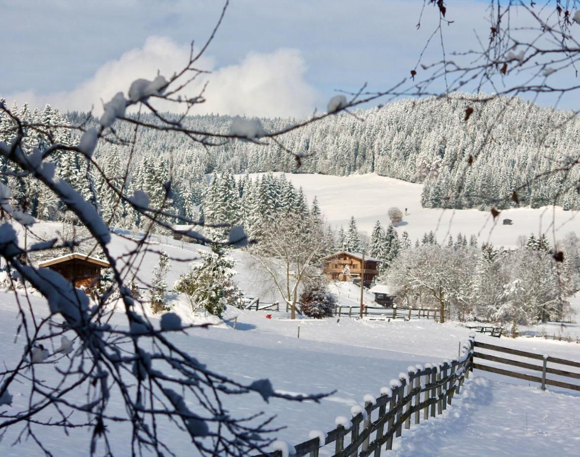Pension Heidelberg - Fam Fuchs Hopfgarten im Brixental Dış mekan fotoğraf