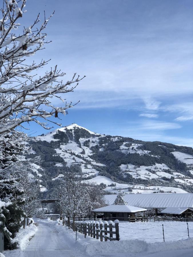 Pension Heidelberg - Fam Fuchs Hopfgarten im Brixental Dış mekan fotoğraf